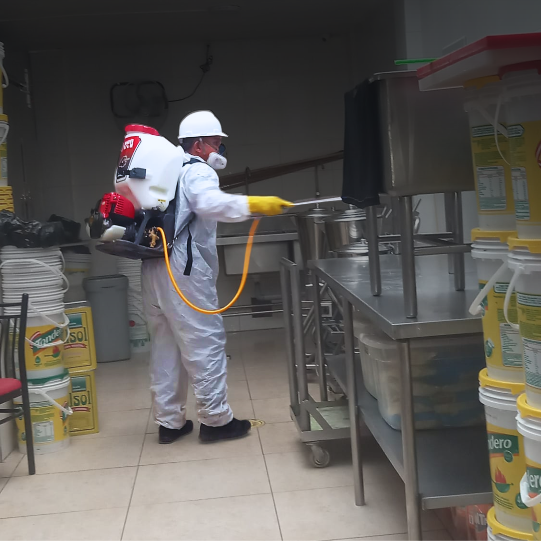 Saneamiento Ambiental
