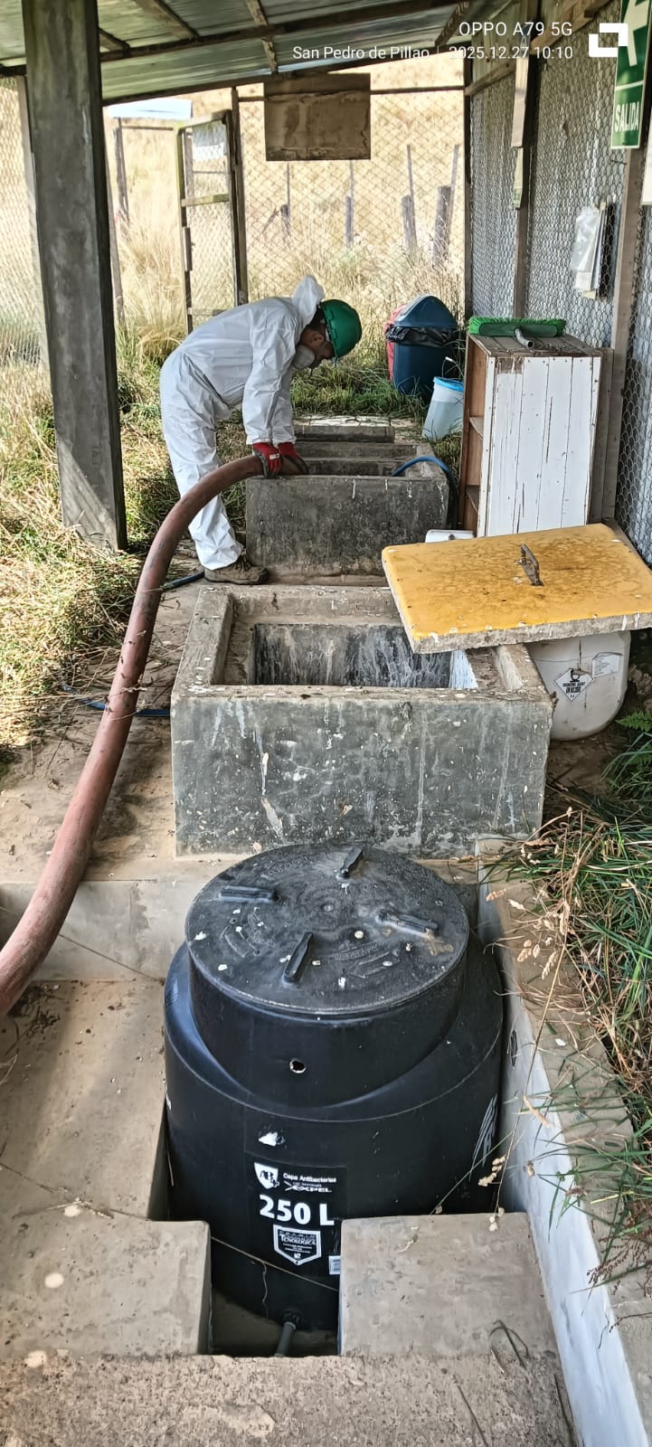 Fumigación y Desinsectación