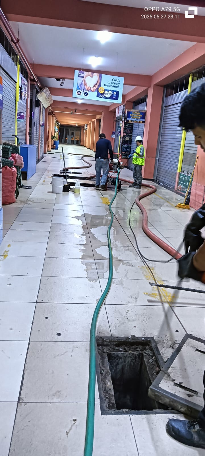 Fumigación y Desinsectación