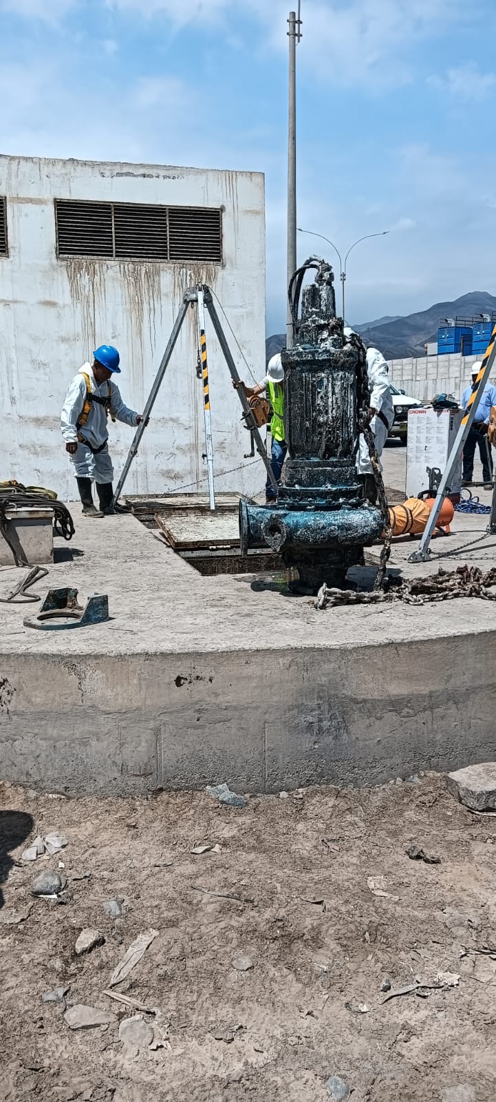 Fumigación y Desinsectación